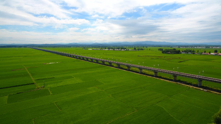中国经济的韧性|解码中国"富硒大米之乡"方正县