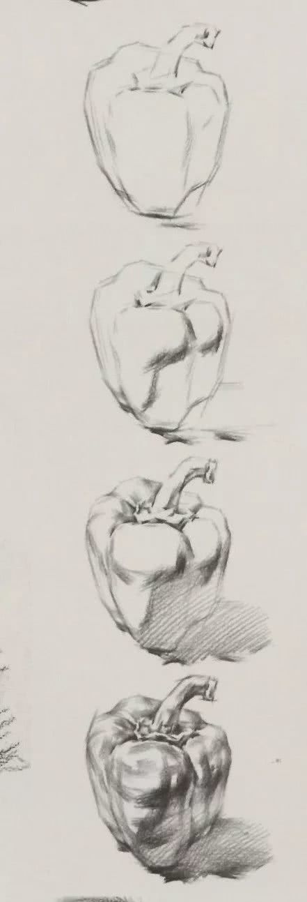 素描基础单体之青椒