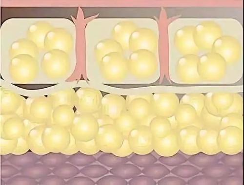 跑步多久,才能燃烧1公斤脂肪?如何提高减脂速度?