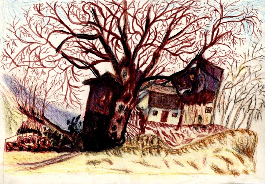 逝者画家常秀峰目不识丁的梵高奶奶让人积极向上