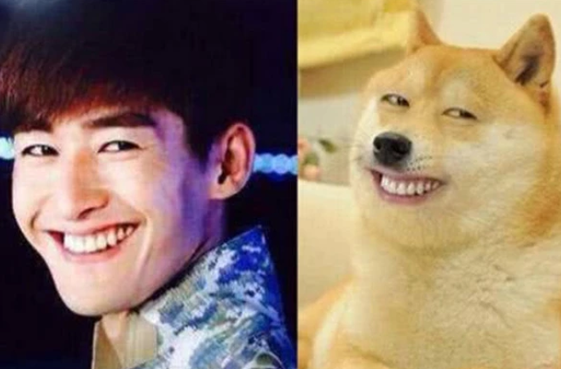 黄磊在小欢喜中调侃孙红雷像牛头梗撞脸动物明星有很多