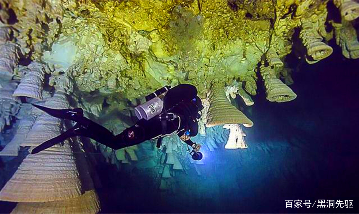 地下勘探结果出人意料,研究员:地底生存着比地表更丰富的生物