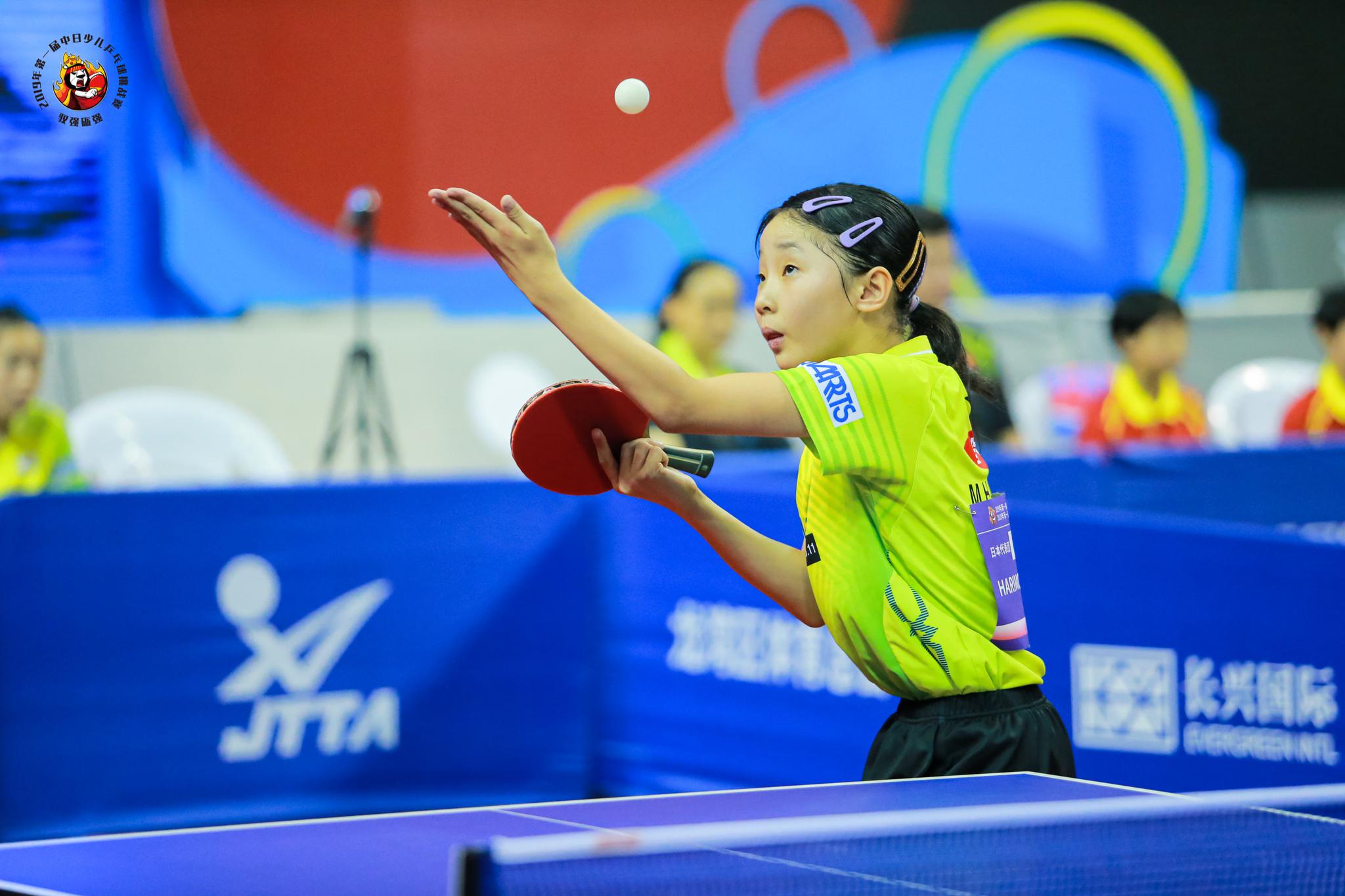 张本美和在比赛中作为中日两国乒协为高水平少儿乒乓联手打造的全新