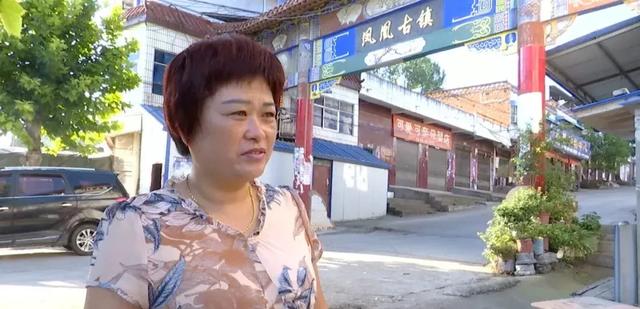 淅川县香花镇:"绿色光亮工程"点亮群众幸福生活