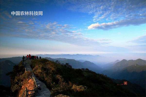 端;属亚热带湿润季风性气候,四季分明, 冬无严寒, 夏热期长,秋短温冬