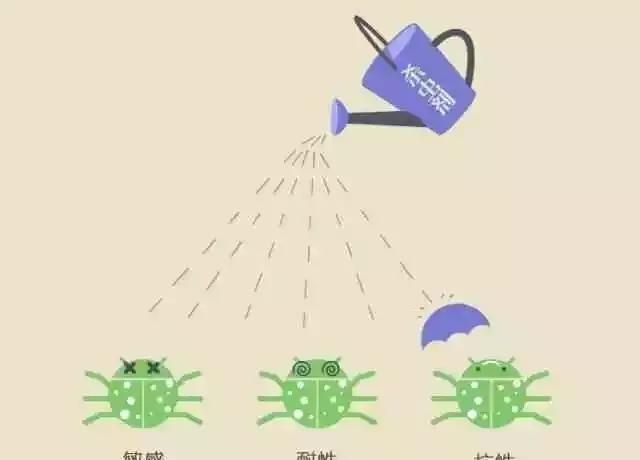 从日本葡萄栽培,反思我国葡萄产业发展困境