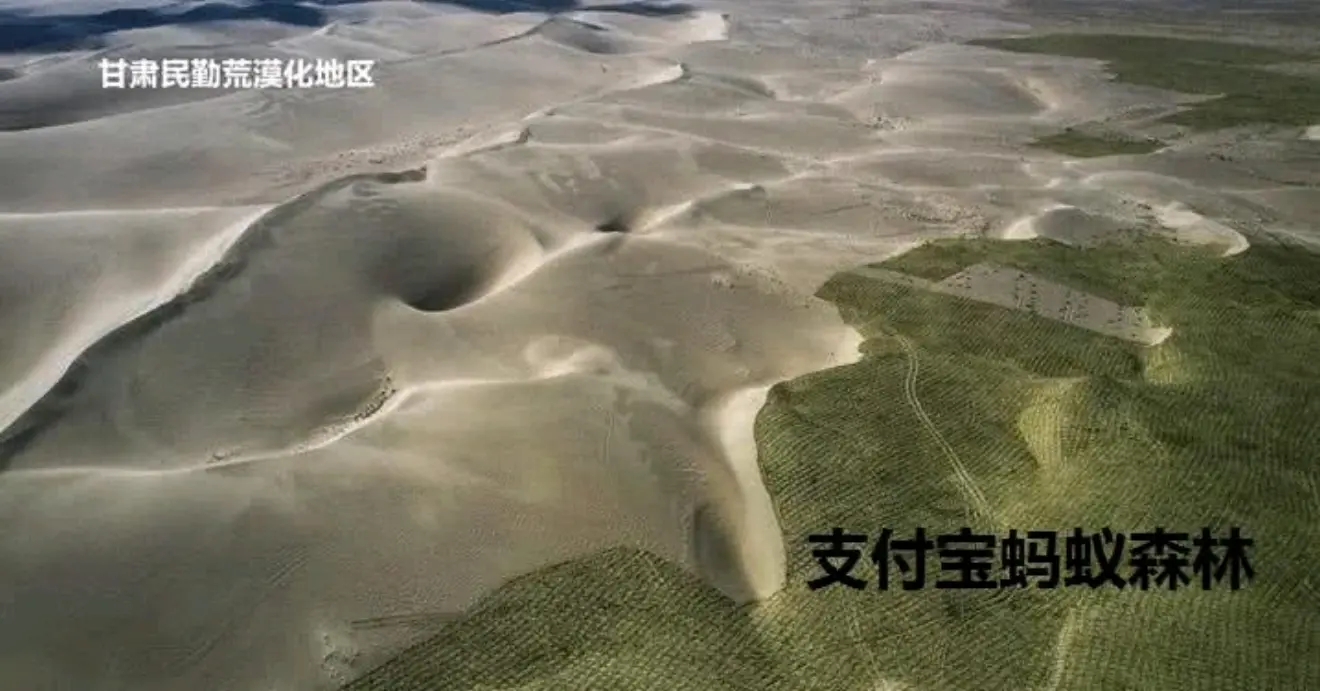 马云"天价"蚂蚁森林3年了,卫星拍摄图片,看到现实:泪流满面