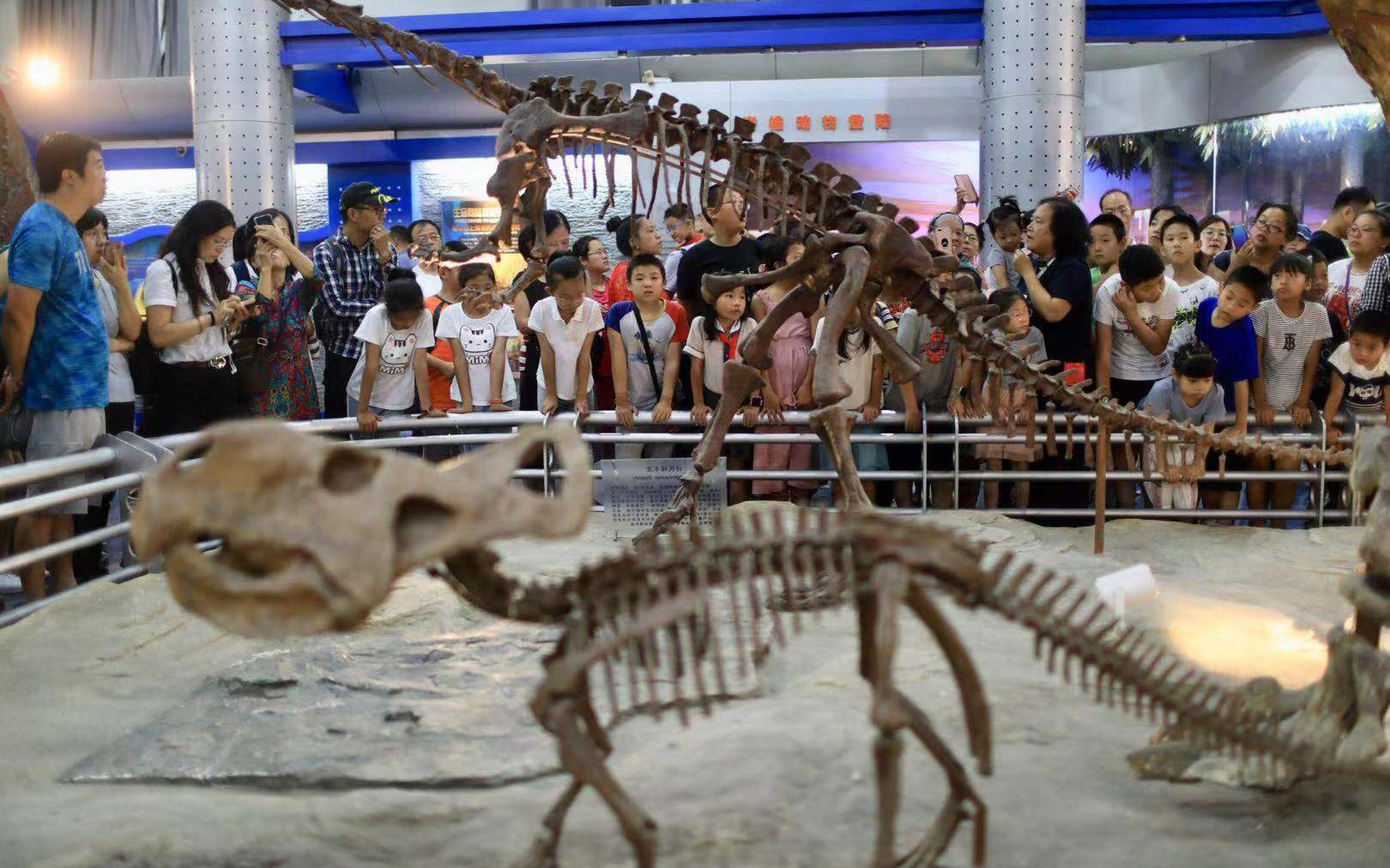 8月12日，观众在北京自然博物馆参观恐龙馆，该馆“博物馆之夜”已连续举办14年。新京报记者 浦峰 摄