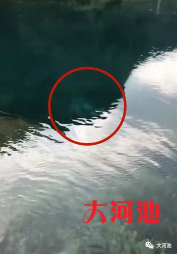 发生后有人员赶到现场救援很快,溺水男子被打捞上岸这样的意外已经