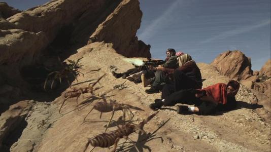 让美国士兵头皮发麻的虫子——巨骆驼蜘蛛