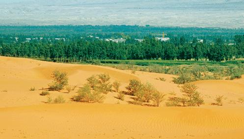世上最大治沙工程,让沙漠变绿洲,外国网友:中国治沙人真伟大