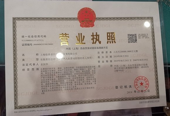 上海临港新片区行政服务中心发出"001"号营业执照