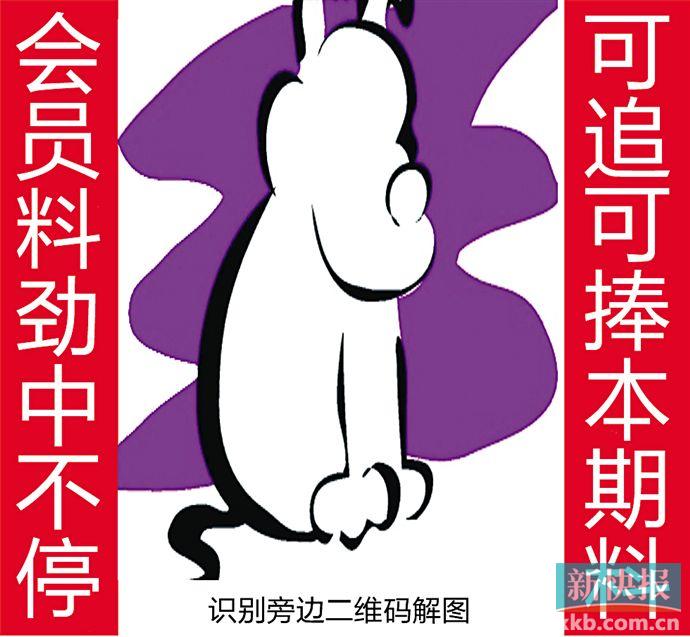 金钱豹自有真功夫|金钱豹_新浪财经_新浪网