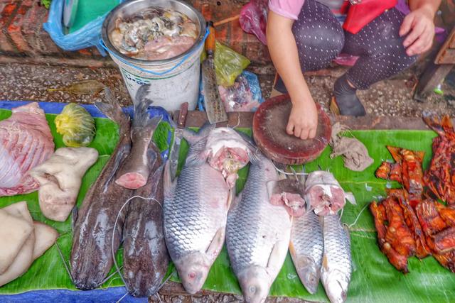 老挝最黑暗市场,老鼠,蛤蟆,蜗牛你都敢试试吗?