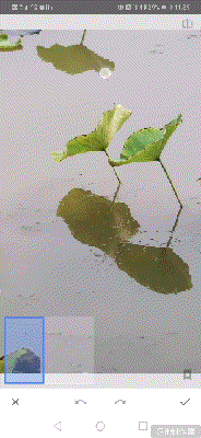 手機拍荷花,如何更高級?教你4招拍出簡約美_新浪眾測