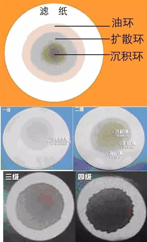 网页字体颜色怎么变黑 网页制作字体颜色怎么调整