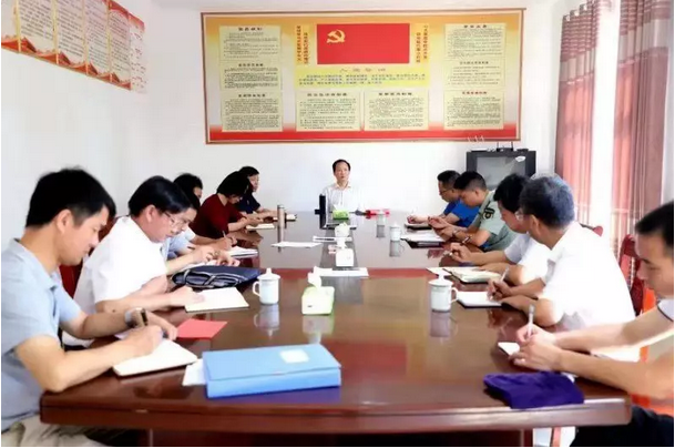 肖立新調(diào)研指導(dǎo)脫貧攻堅和蘇山礦山生態(tài)修復(fù)工作