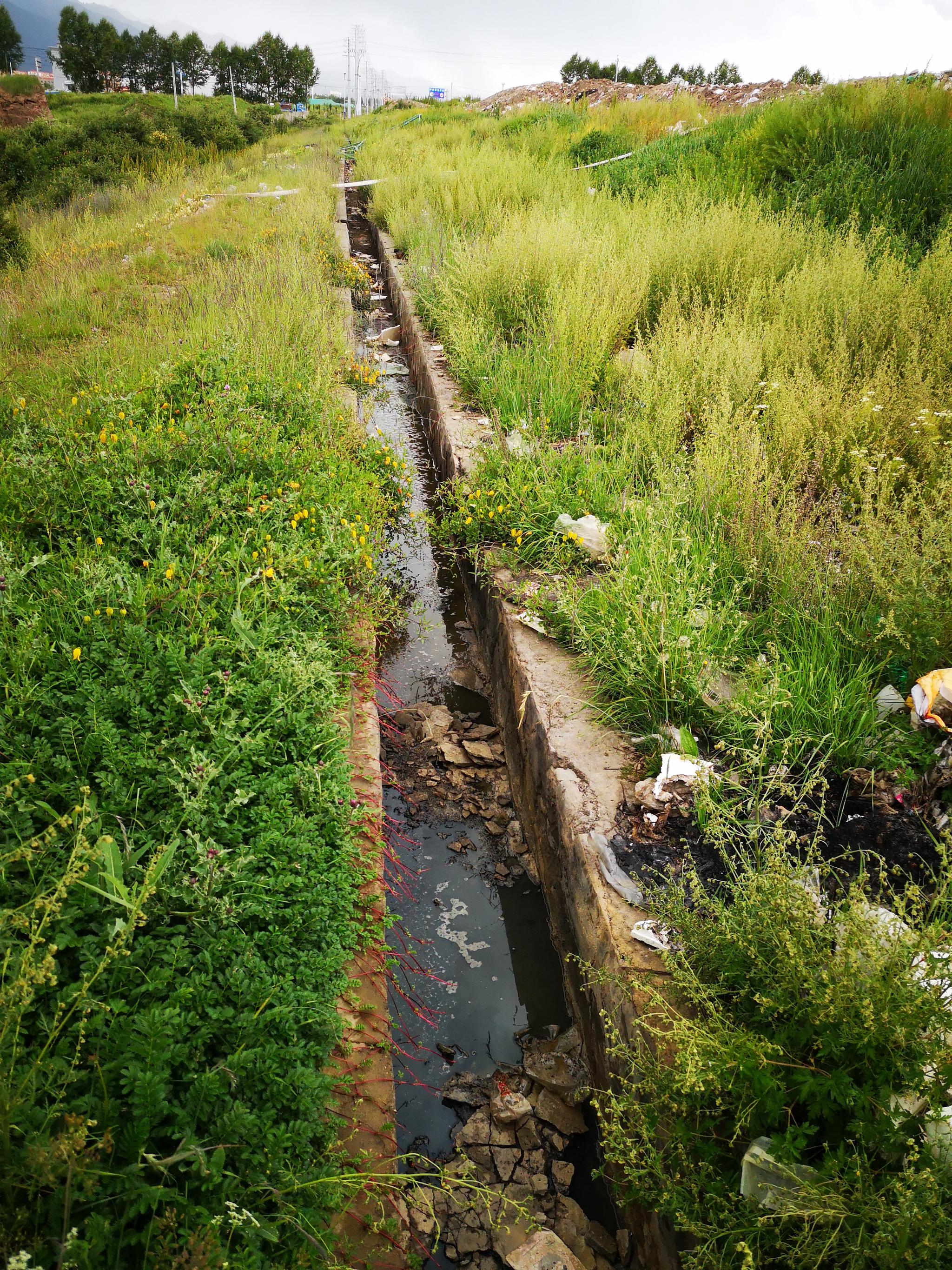 门源县生活垃圾填埋场渗滤液收集池破损直排环境。图/生态环境部