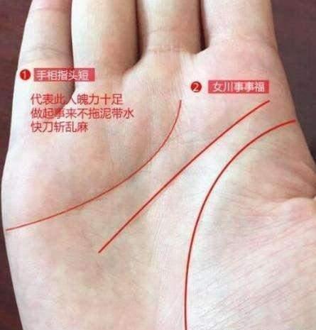 手纹|掌纹|事事_新浪新闻