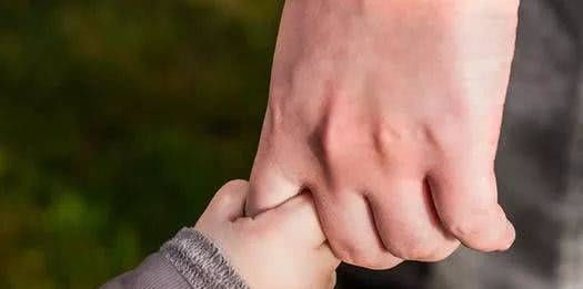 父母|原则|放手_新浪新闻