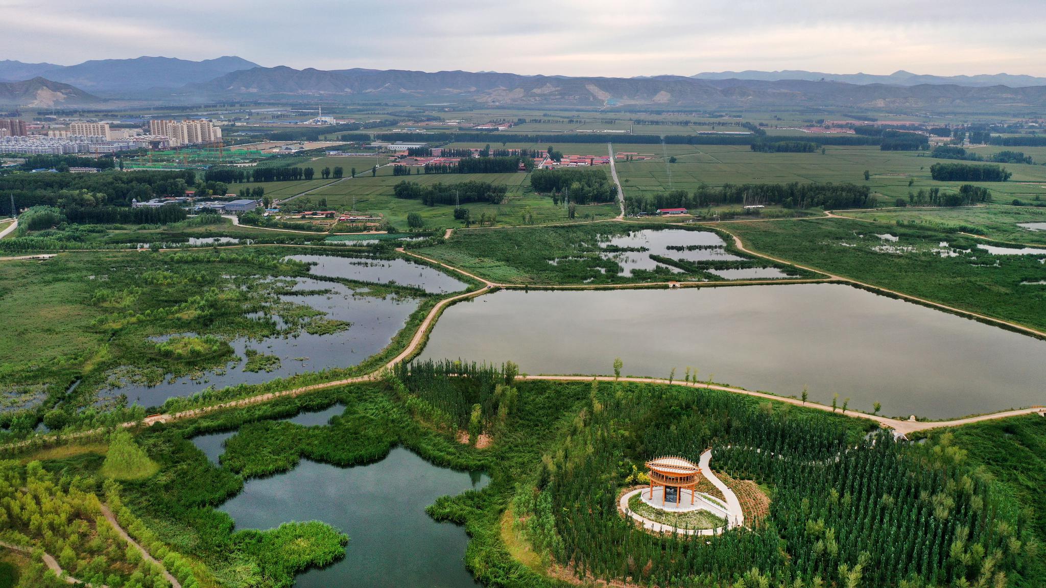 山西广灵:湿地颐养 塞上水城