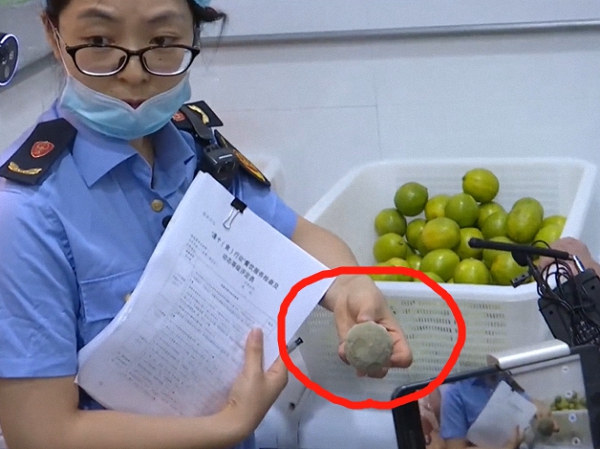 执法人员在CoCo奶茶店发现一只霉变的柠檬