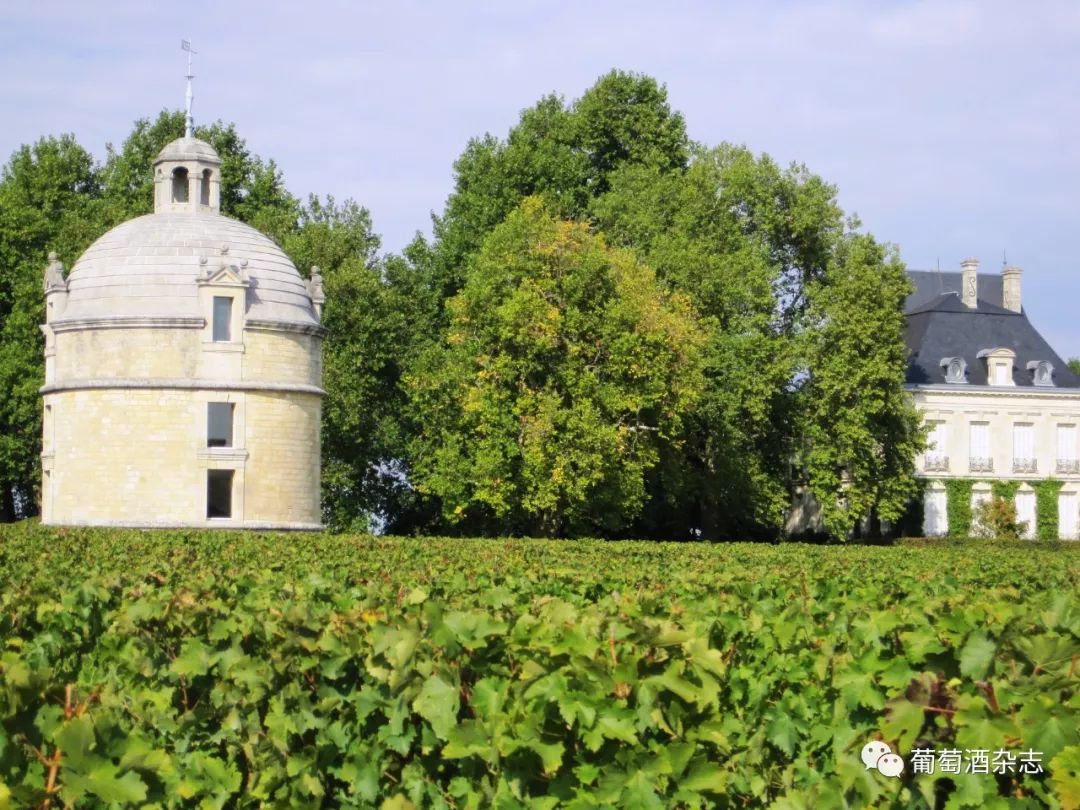 三年级 | 哈兰,从荒野中崛起的膜拜酒庄