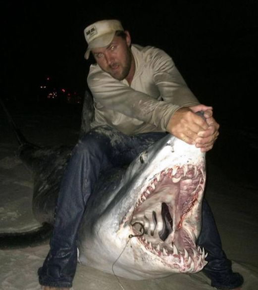 美国渔民捕获700斤鲨鱼邀朋友吃鲨鱼大餐