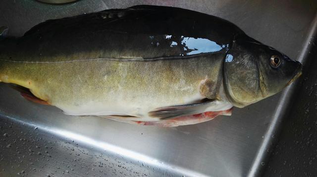 三道鳞最好吃的5种做法,简单美味又下饭,看看你喜欢吃不?