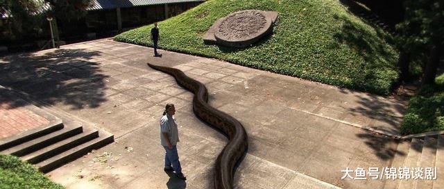 如有关于作品内容,版权或其它问题请于作品发表后的30日内与新浪网