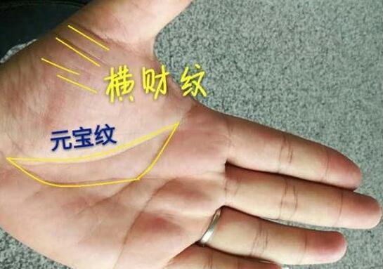 手相|纹理|富贵_新浪新闻