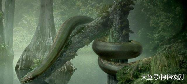 大蛇为蟒大蚺为蛟史上最大恐怖巨蟒