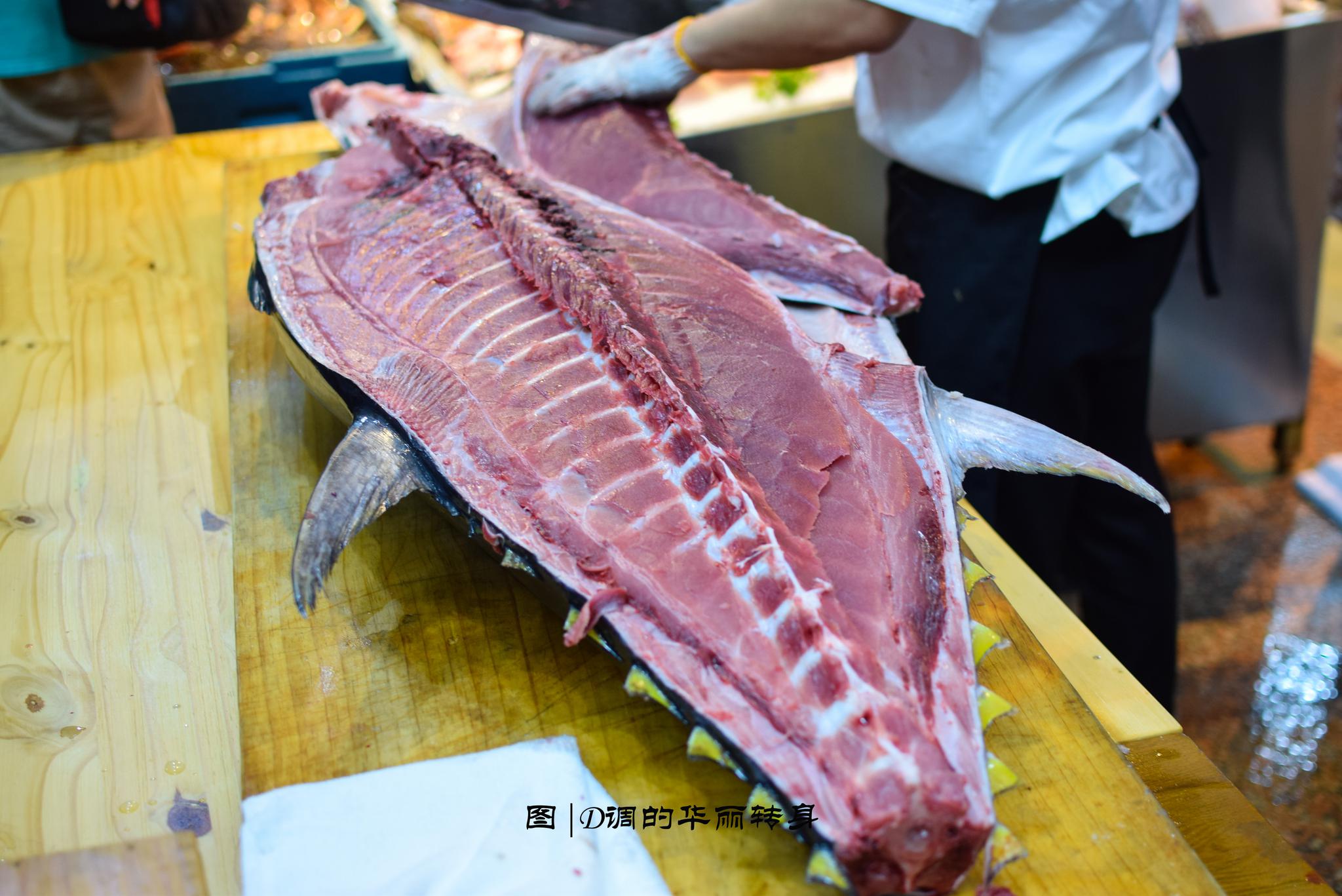 180斤蓝鳍金枪鱼解体秀上演,庖丁解牛的视觉和鲜美味觉双重震撼|金枪鱼|鳍|鲜美_新浪新闻