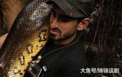 大蛇为蟒, 大蚺为蛟, 史上最大恐怖巨蟒!|泰坦蟒|巨蟒|森蚺_新浪新闻