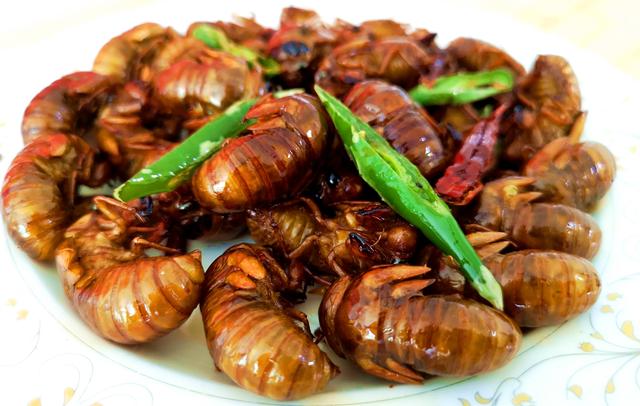 油炸金蝉,直接下锅炸就错了!多加一步,金黄酥脆又入味,太香了