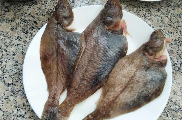 o酱焖偏口鱼,下饭的家常鱼肉菜谱,好吃不怕胖