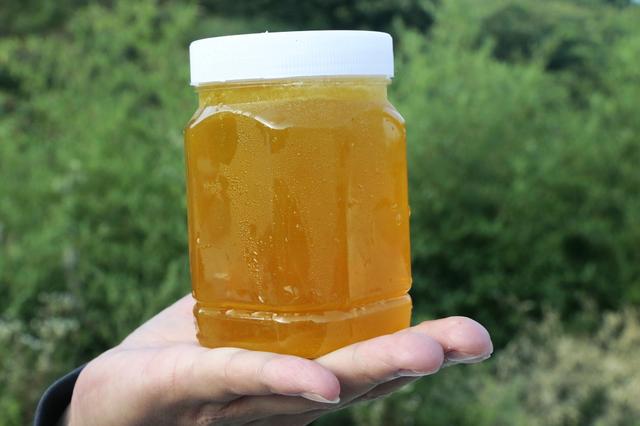 海拔1800米的仙人山上蜂蜜收获了