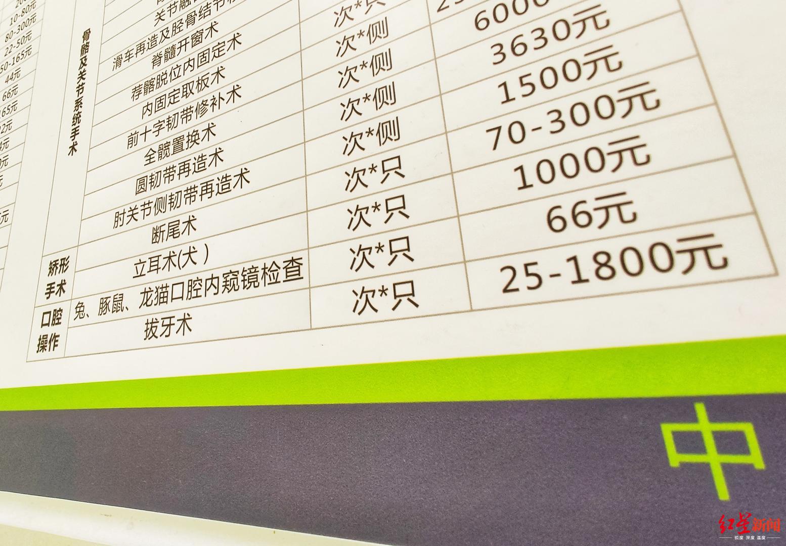 宠物医院拔牙术的价格