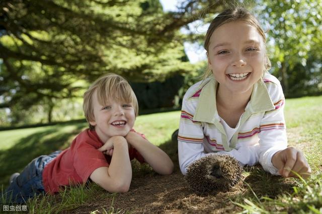 紧急提醒：骚宝回春是真的吗？真实体验与用户反馈全方位揭秘