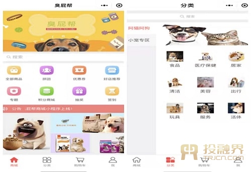 宠物旅行新体验：青岛宠物寄养服务发展观察
