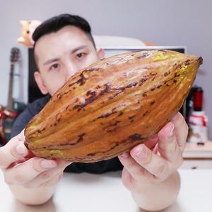 生吃巧克力的原材料"可可果",感觉得有点不一样,我买错了吗?