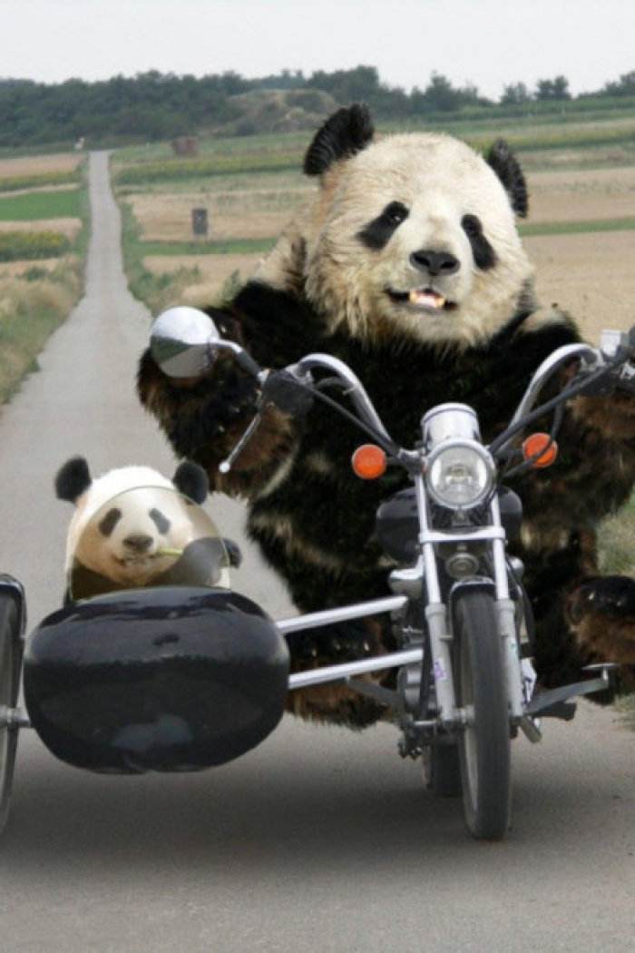 10万内想要开着爽的车？结果可能让你很失望！