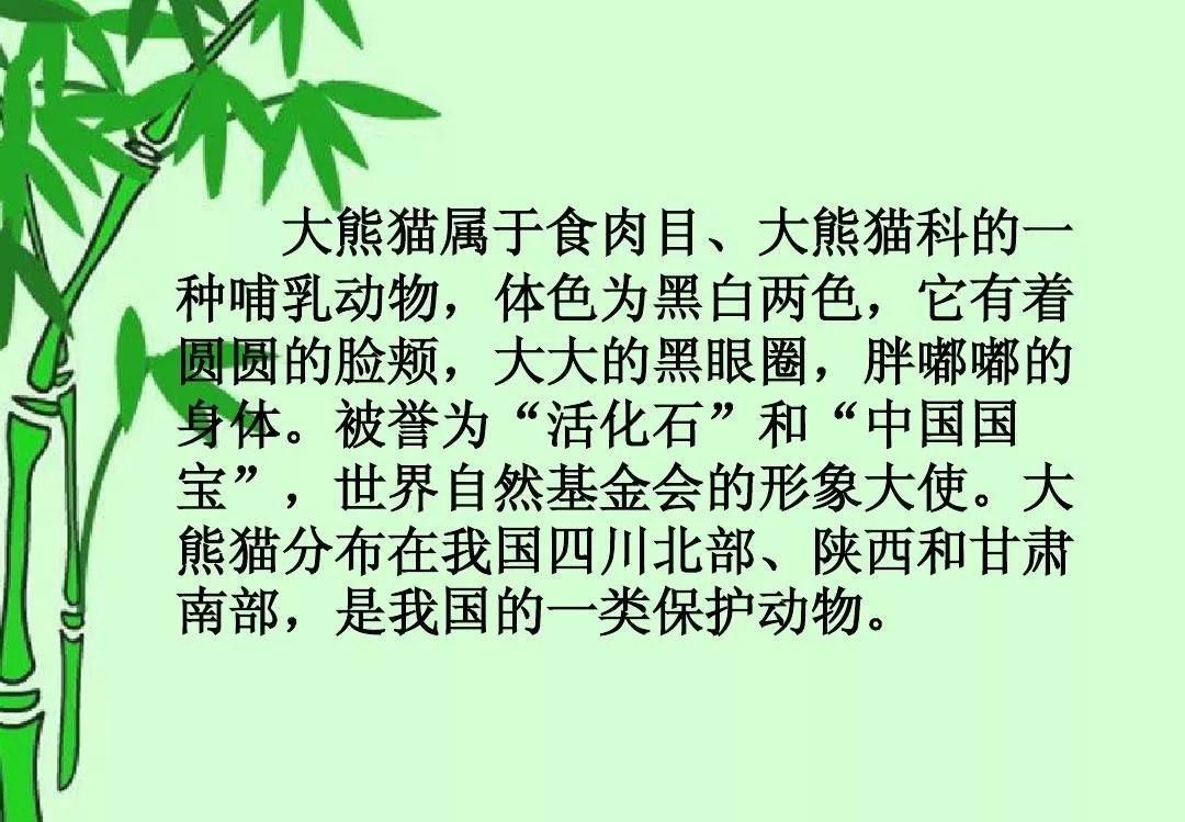 国宝大熊猫是四川省独有的物种吗?陕西省有大熊猫吗?快来了解!