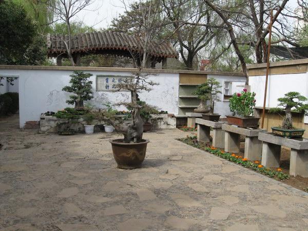 融古今园林为一体的特色公园洛阳西苑公园