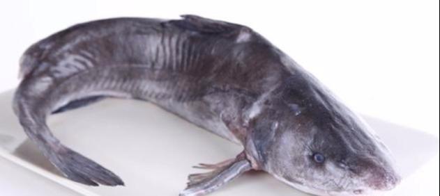 这种鱼世界只有中国有,哈尔滨网友听说中国只有长江有