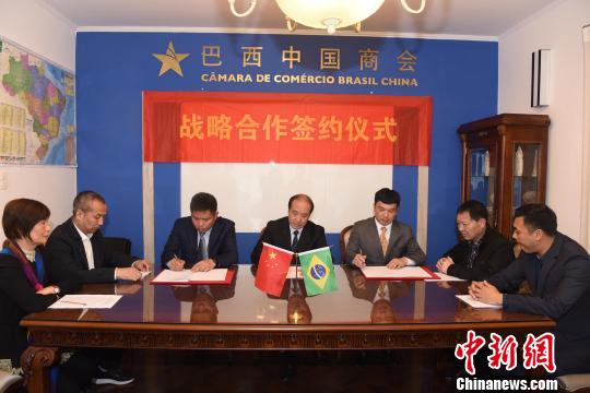 温州市鹿城区政府与巴西中国商会,巴西金达威体育签署足球战略合作