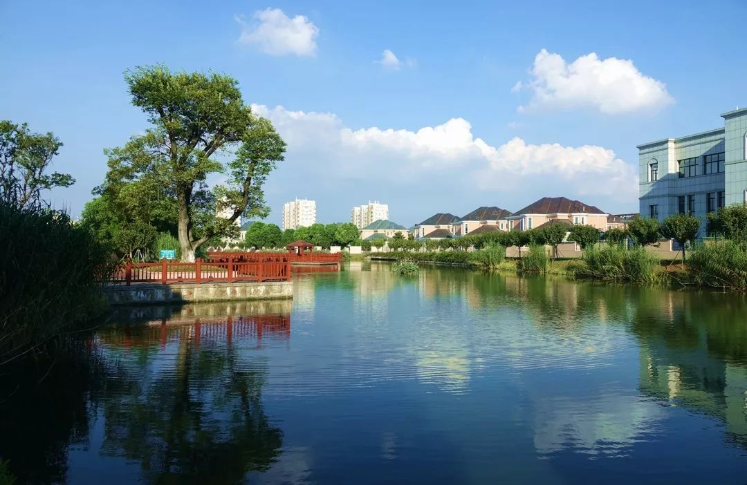 那位没能出席发布式的最美退役军人走了追记常州市武进区横山桥镇五一