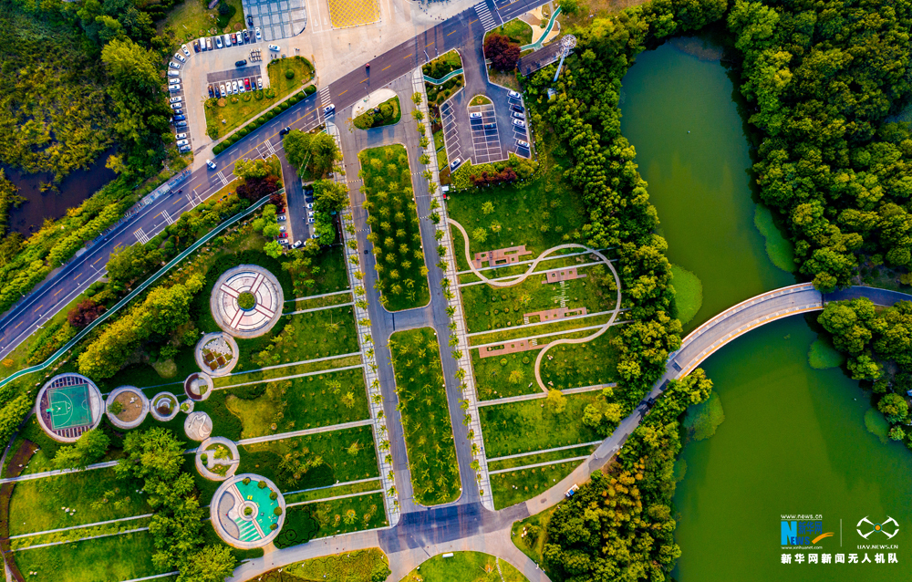 合肥翡翠湖公园:秋已至 夏未央