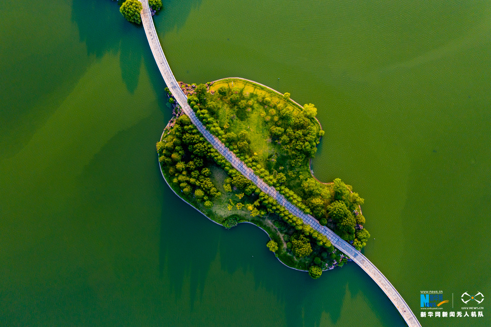合肥翡翠湖公园:秋已至 夏未央