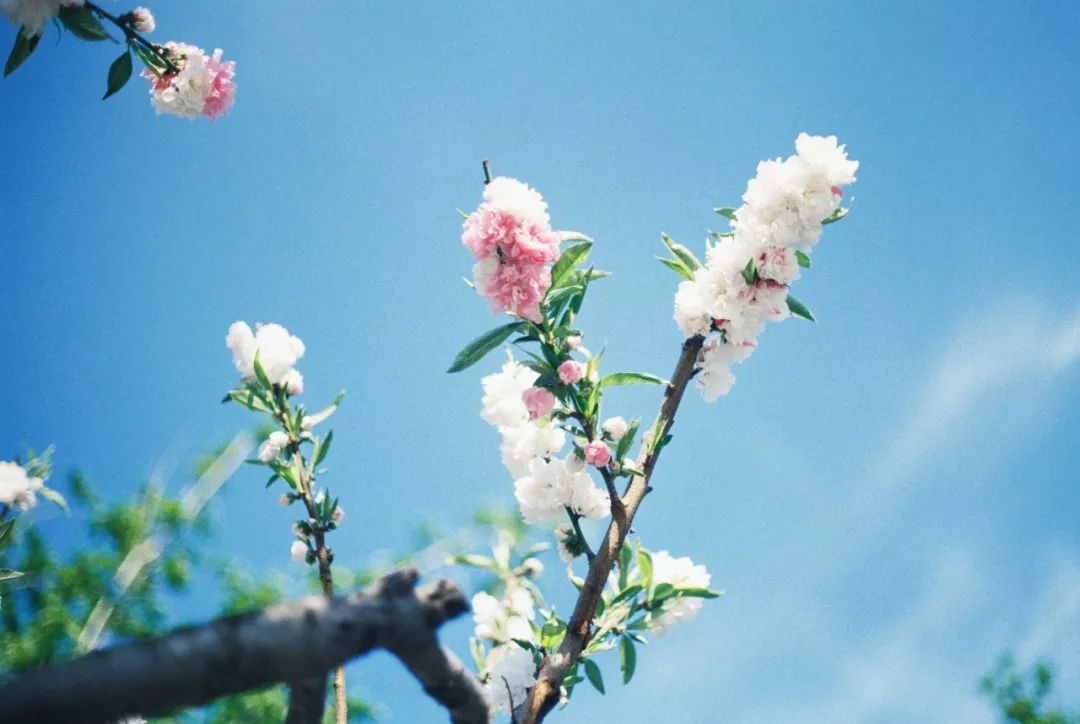 生儿育女到底是为了什么?看哭无数人……